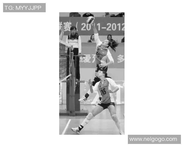 上海滑板队快攻战术分析与比赛表现的深度评析