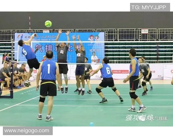 南京排球队防守策略揭秘深度分析排球技术与战术的完美结合