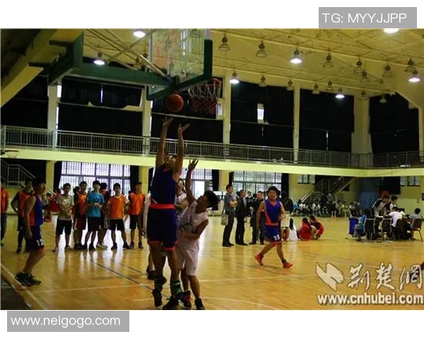 吴静回顾排球生涯的辉煌与挑战分享她的成长与梦想 吴静回顾排球生涯的辉煌与挑战分享她的成长与梦想